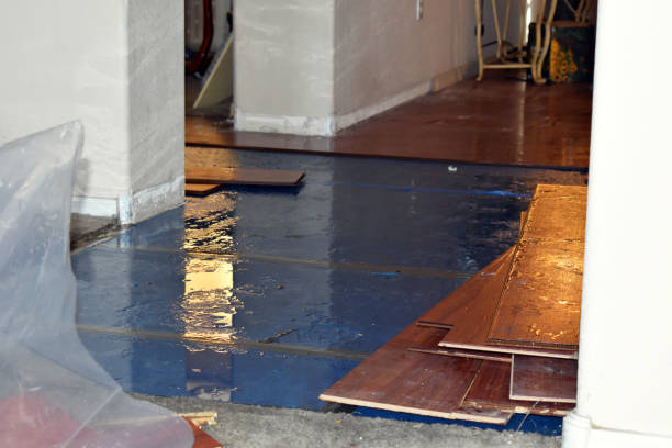 Professional Basement Flood Cleanup technician working in Sussex, NJ